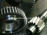 Transmision Spur Gear\Precision Gear\Die Casting